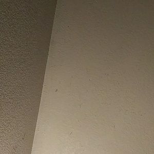 Meet your Posher, Kendra